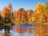 Autumn Reflections_17636
